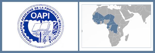 Intellectual Property in Africa